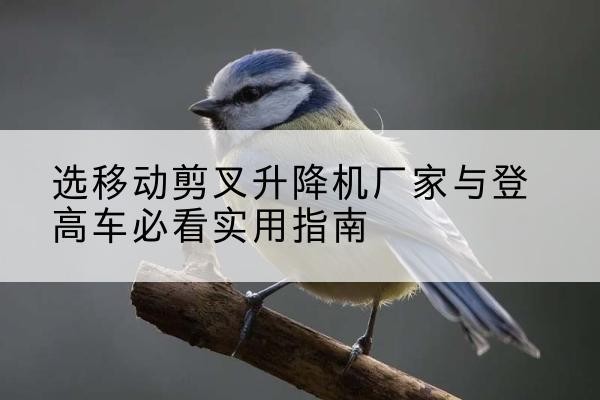 湾沚电动升降机厂家-选移动剪叉升降机厂家与登高车必看实用指南