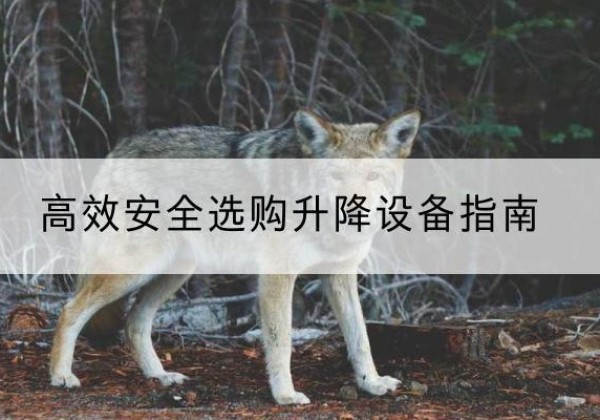 湾沚升降货梯厂家推荐-*安全选购升降设备指南
